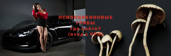 прущие крисы Каменногорск