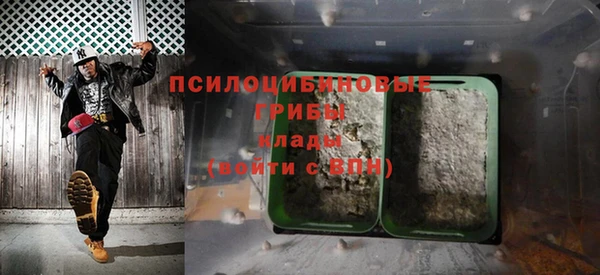 прущие крисы Каменногорск