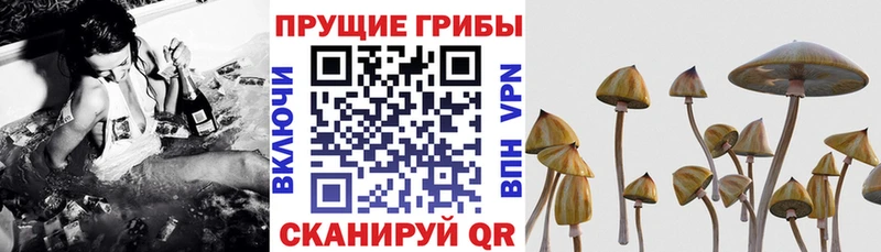 Псилоцибиновые грибы ЛСД  где продают   Комсомольск-на-Амуре 